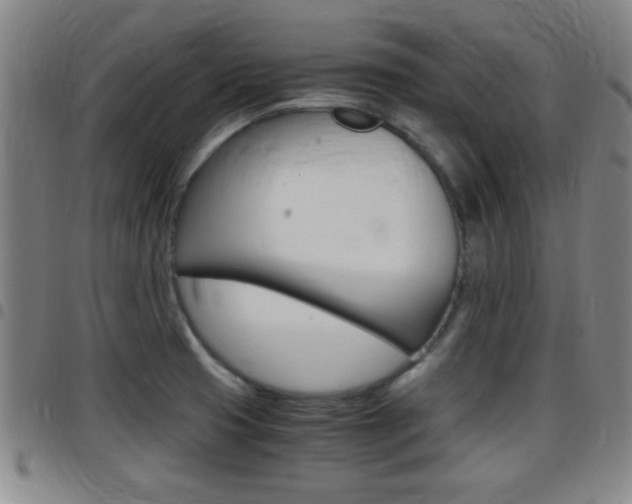 X0000097881425200803140932