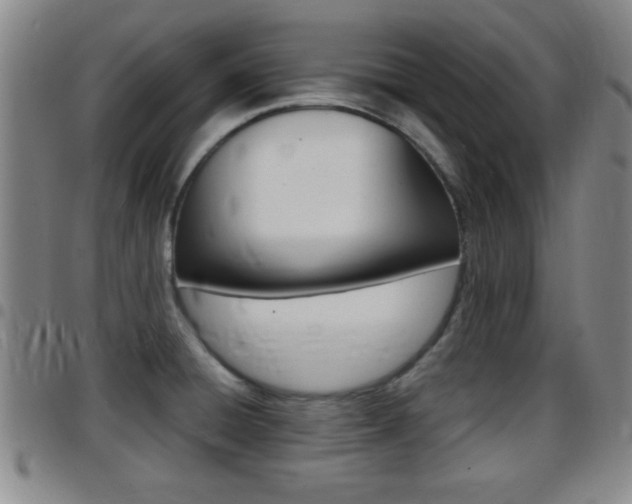 X0000097881428200803140932