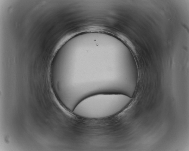 X0000097881429200803140932