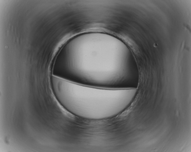 X0000097881430200803140932
