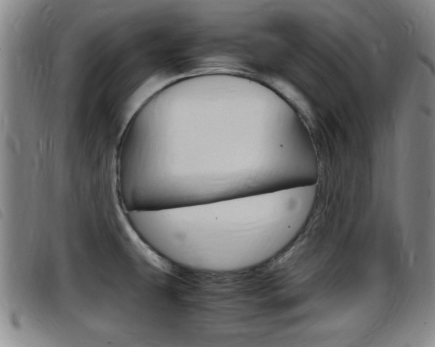 X0000097881431200803140932