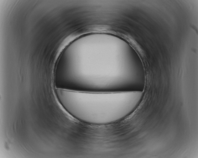 X0000097881432200803140932