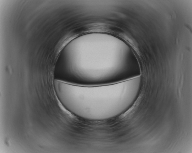 X0000097881433200803140932