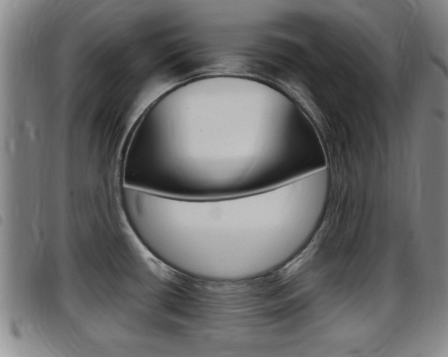 X0000097881434200803140932