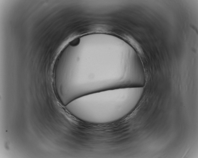 X0000097881435200803140932