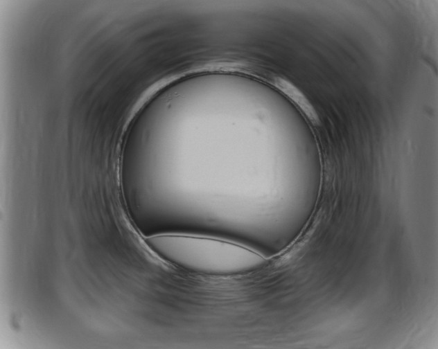 X0000097881436200803140932