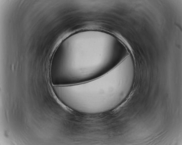 X0000097881437200803140932