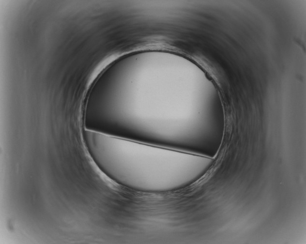 X0000097881438200803140932
