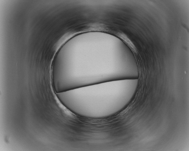 X0000097881439200803140932