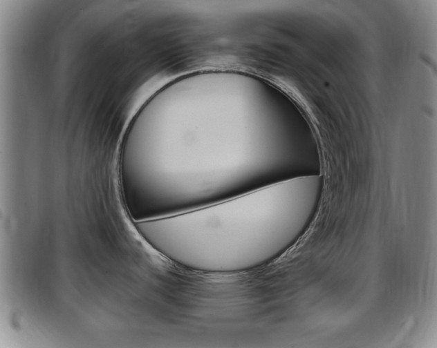 X0000097881440200803140932