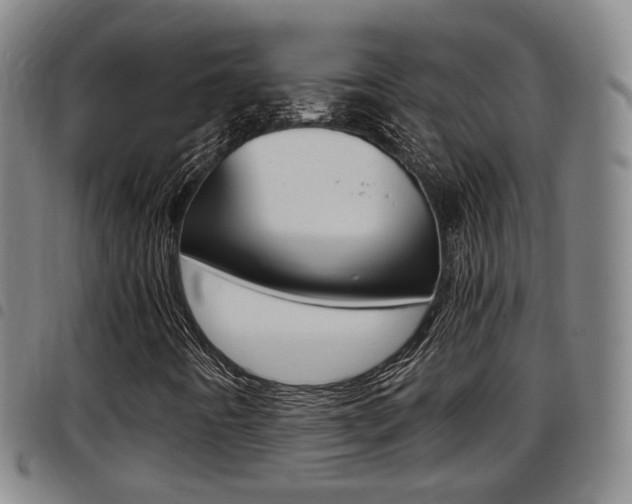X0000097881442200803140932