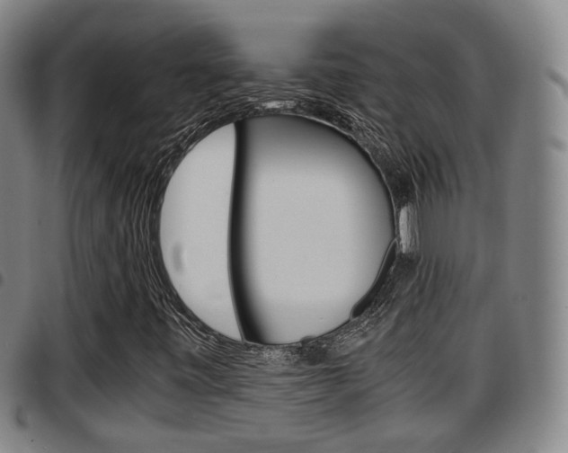 X0000097881443200803140931
