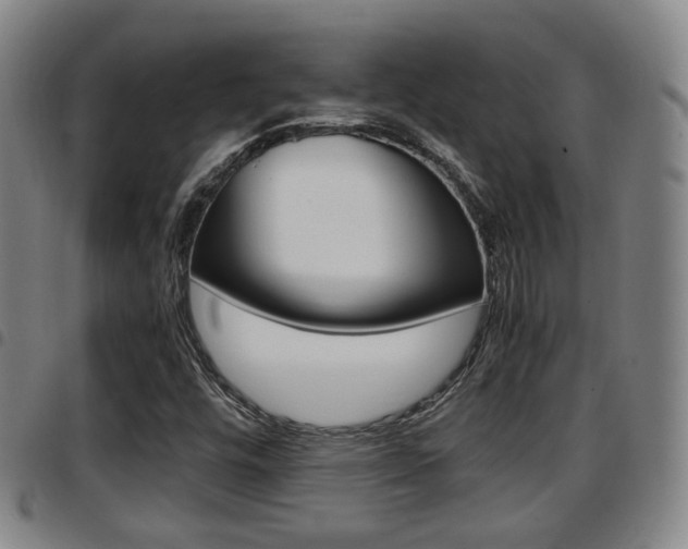 X0000097881448200803140931