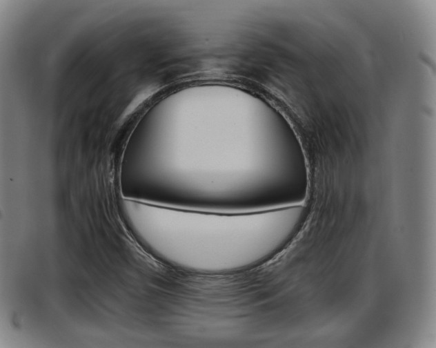 X0000097881450200803140931