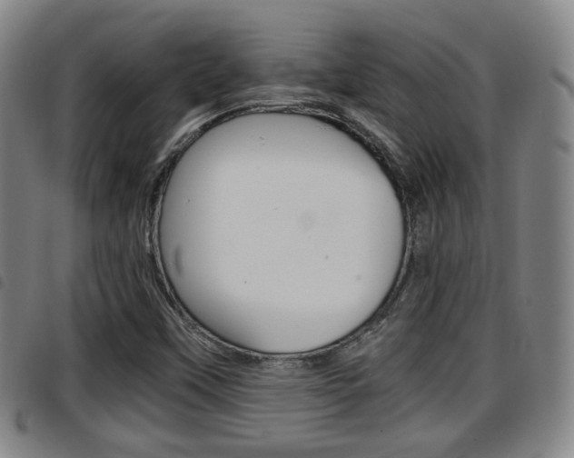 X0000097881451200803140931
