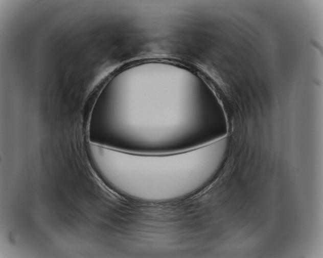 X0000097881452200803140931