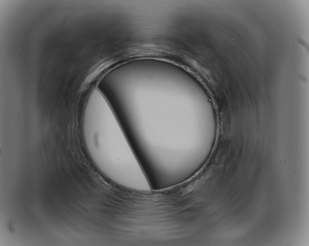 X0000097881453200803140931