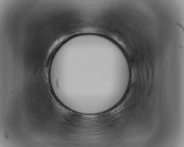 X0000097881454200803140931
