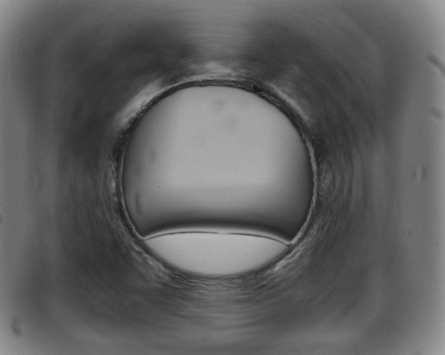 X0000097881455200803140931