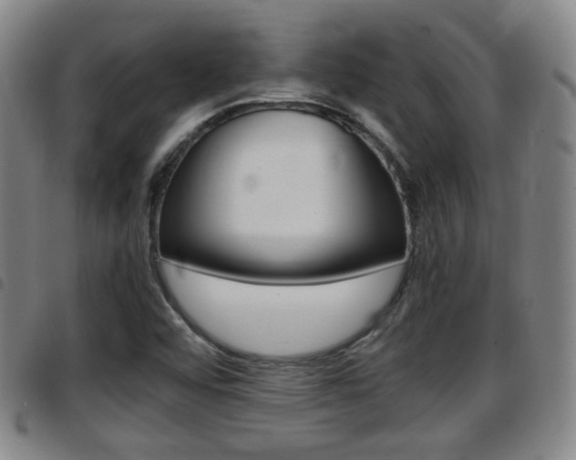 X0000097881456200803140931