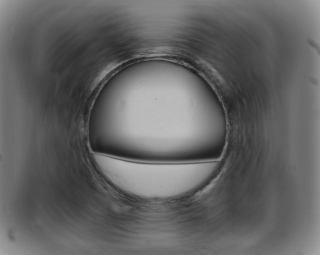 X0000097881457200803140931