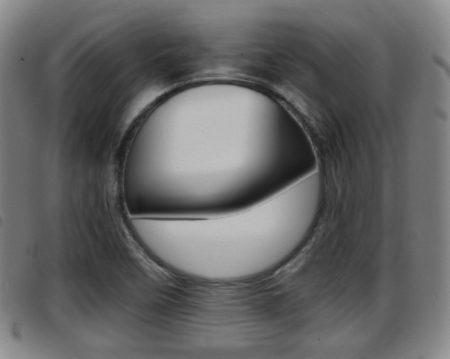 X0000097881458200803140931