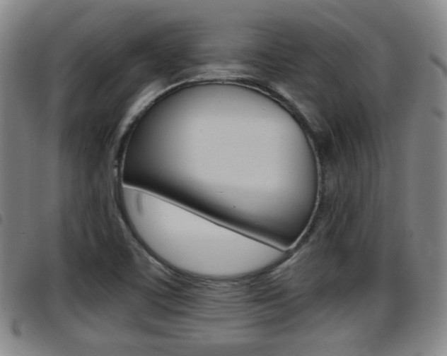 X0000097881459200803140931