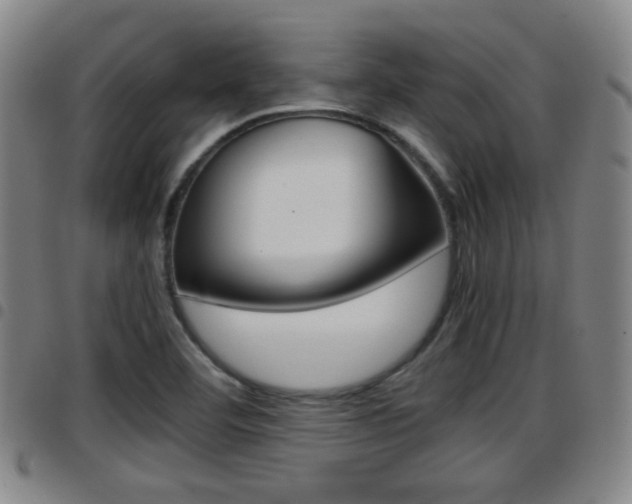 X0000097881460200803140931