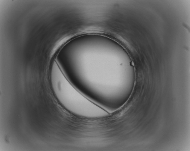 X0000097881461200803140931