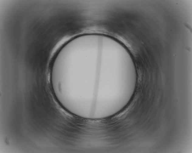 X0000097881462200803140931