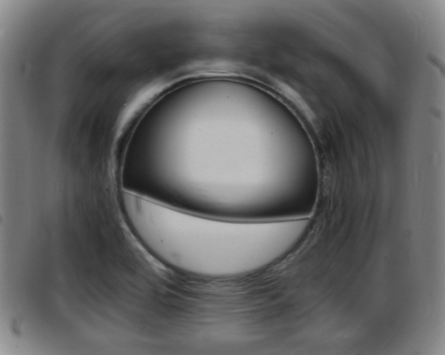 X0000097881464200803140931