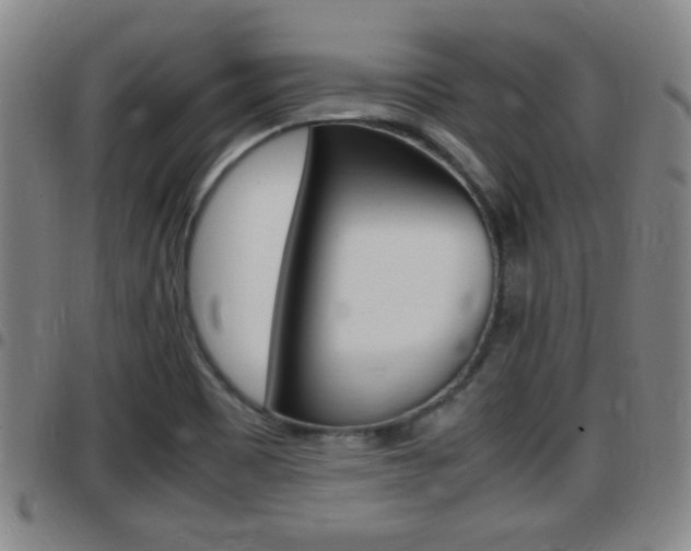 X0000097881465200803140931