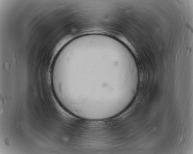 X0000097881466200803140931