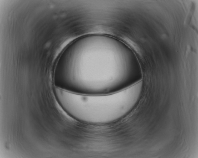 X0000097881468200803140931