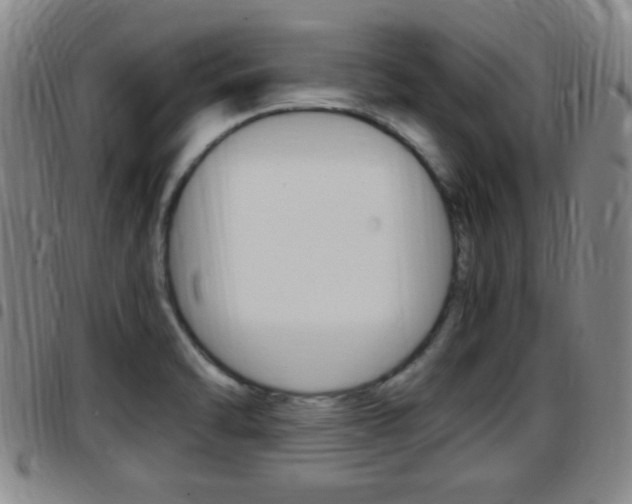 X0000097881470200803140931