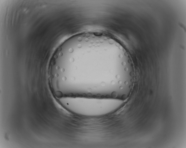 X0000097881471200803140931
