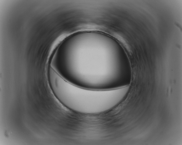X0000097881472200803140931