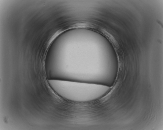X0000097881473200803140931