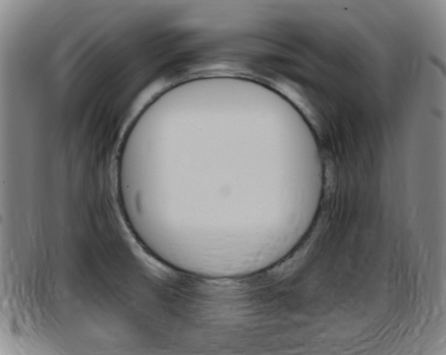 X0000097881474200803140931