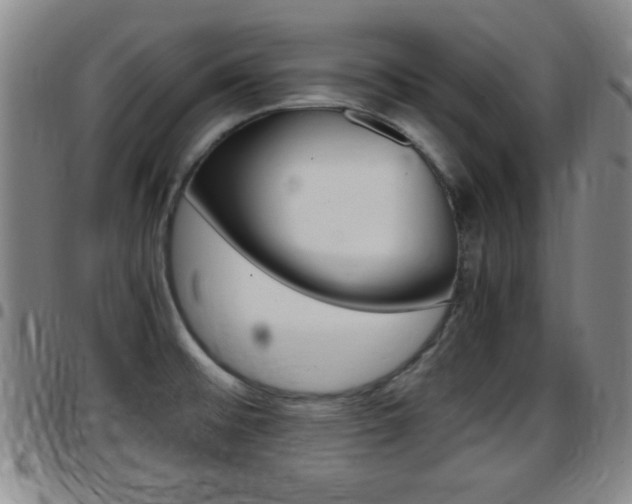 X0000097881476200803140931