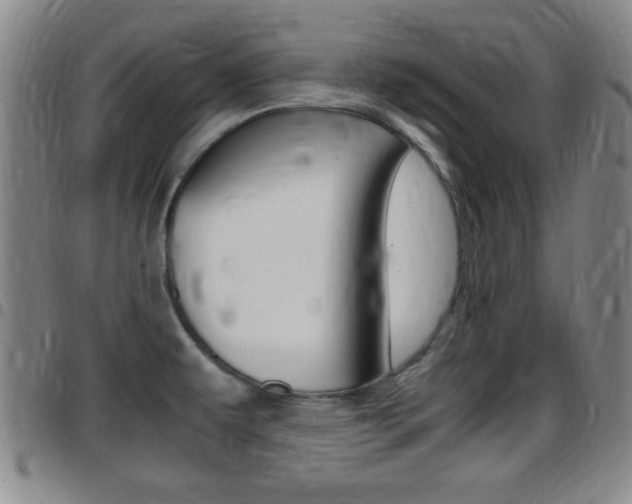 X0000097881479200803140931