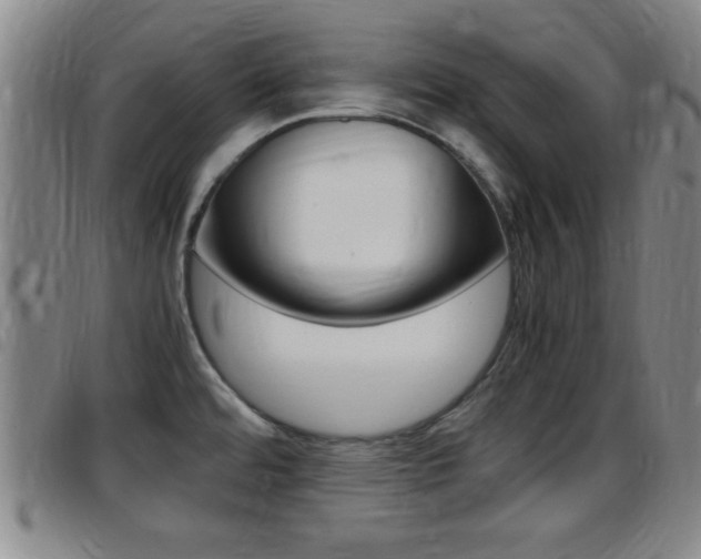 X0000097881480200803140931