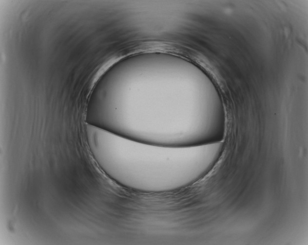X0000097881481200803140931