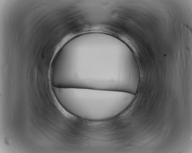 X0000097881482200803140931