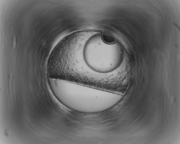 X0000097881483200803140931