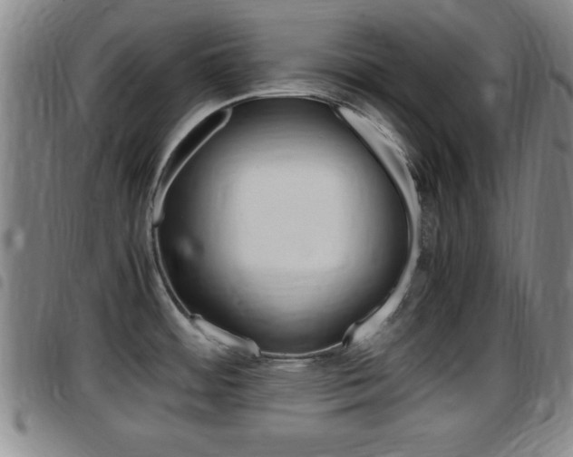 X0000097881484200803140931