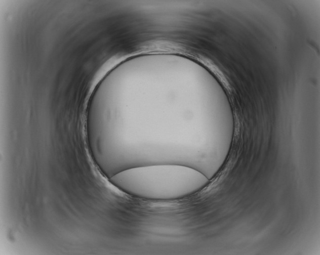 X0000097881486200803140931