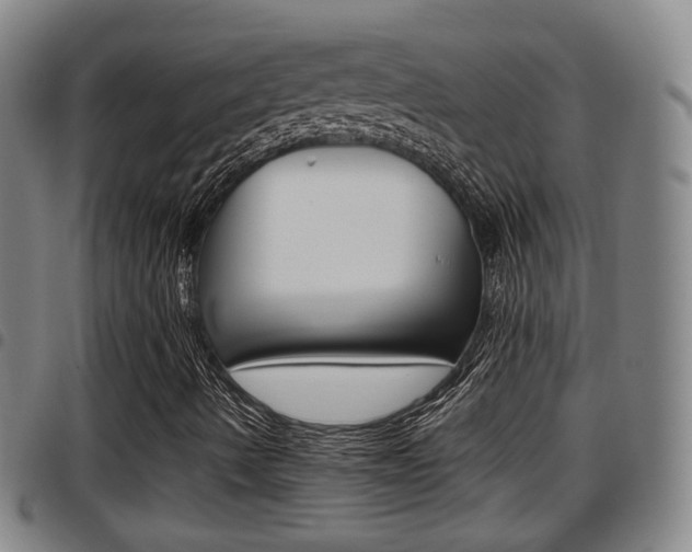 X0000097881490200803140930