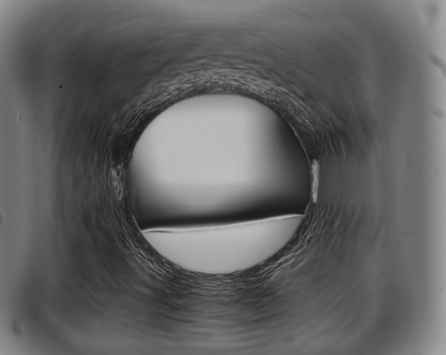 X0000097881491200803140930