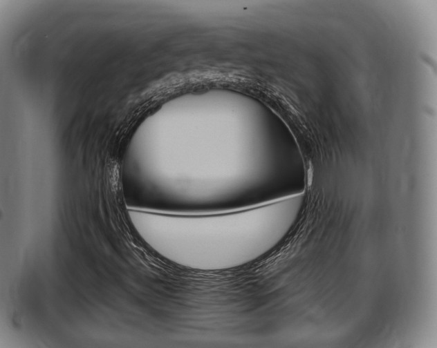X0000097881492200803140930